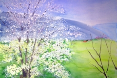 Fruehling-im-Wachtertal-2022-2